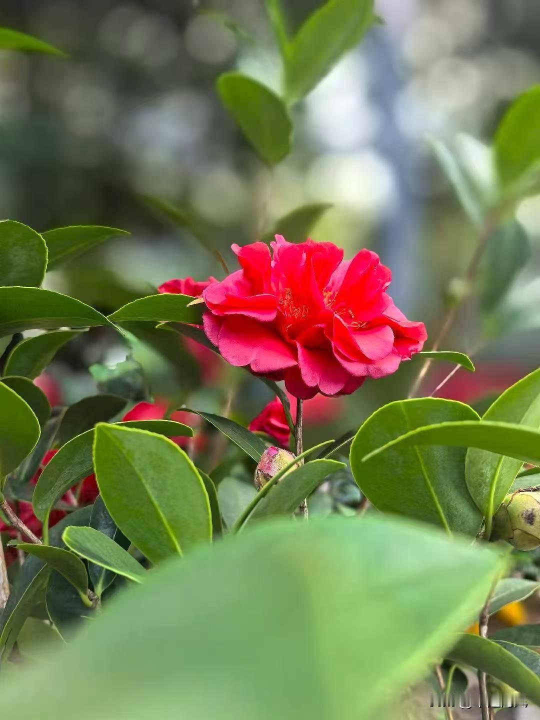 冬日生活打卡季