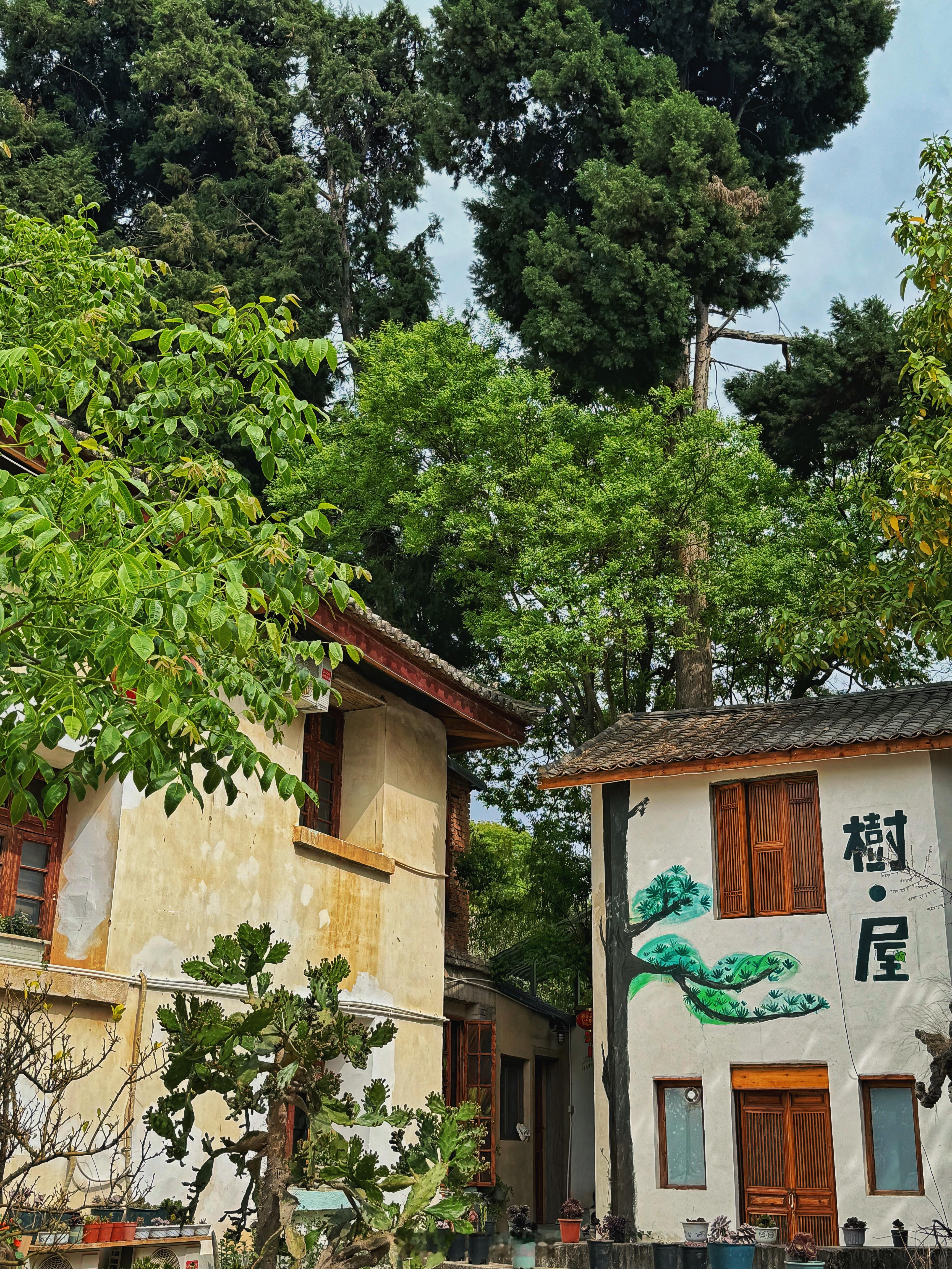 去有风的地方大自然🉑真好 ​​​