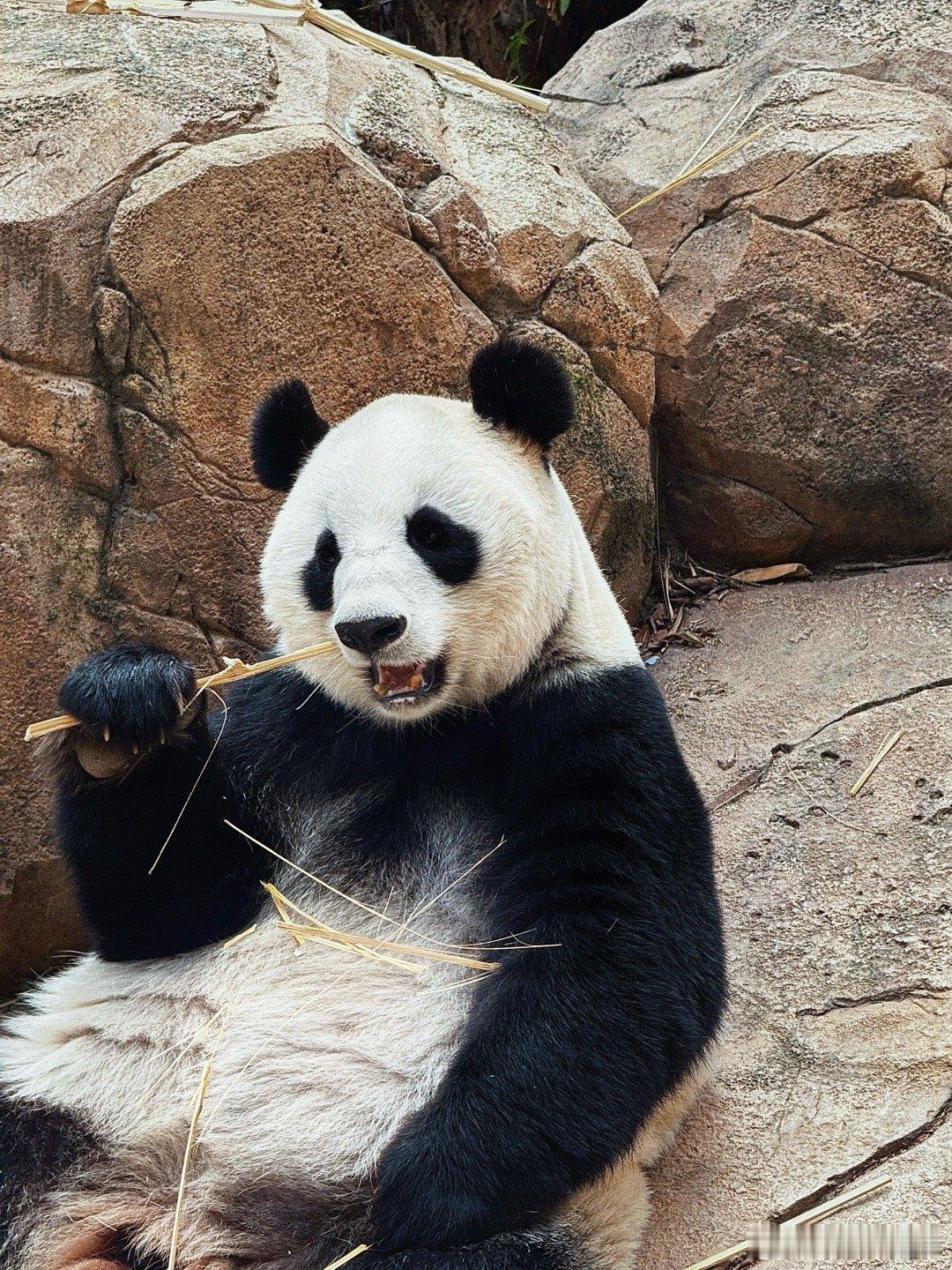 分享图片 