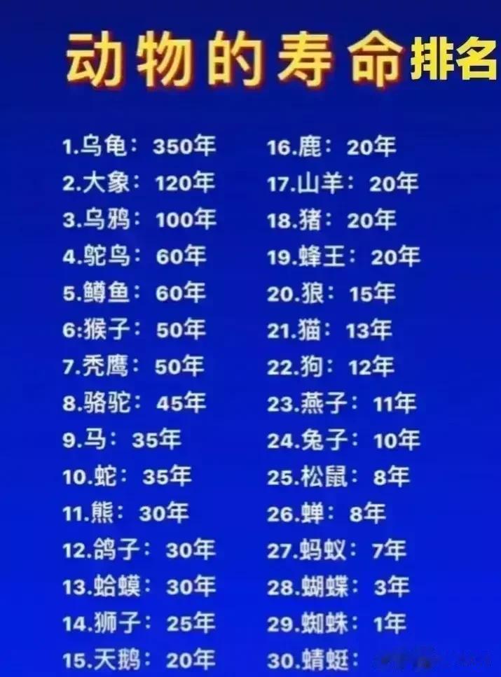 动物的寿命排名
