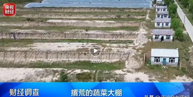 成立9天公司拿下1.2亿项目，留下5个棚子跑了，谁把它放进来的