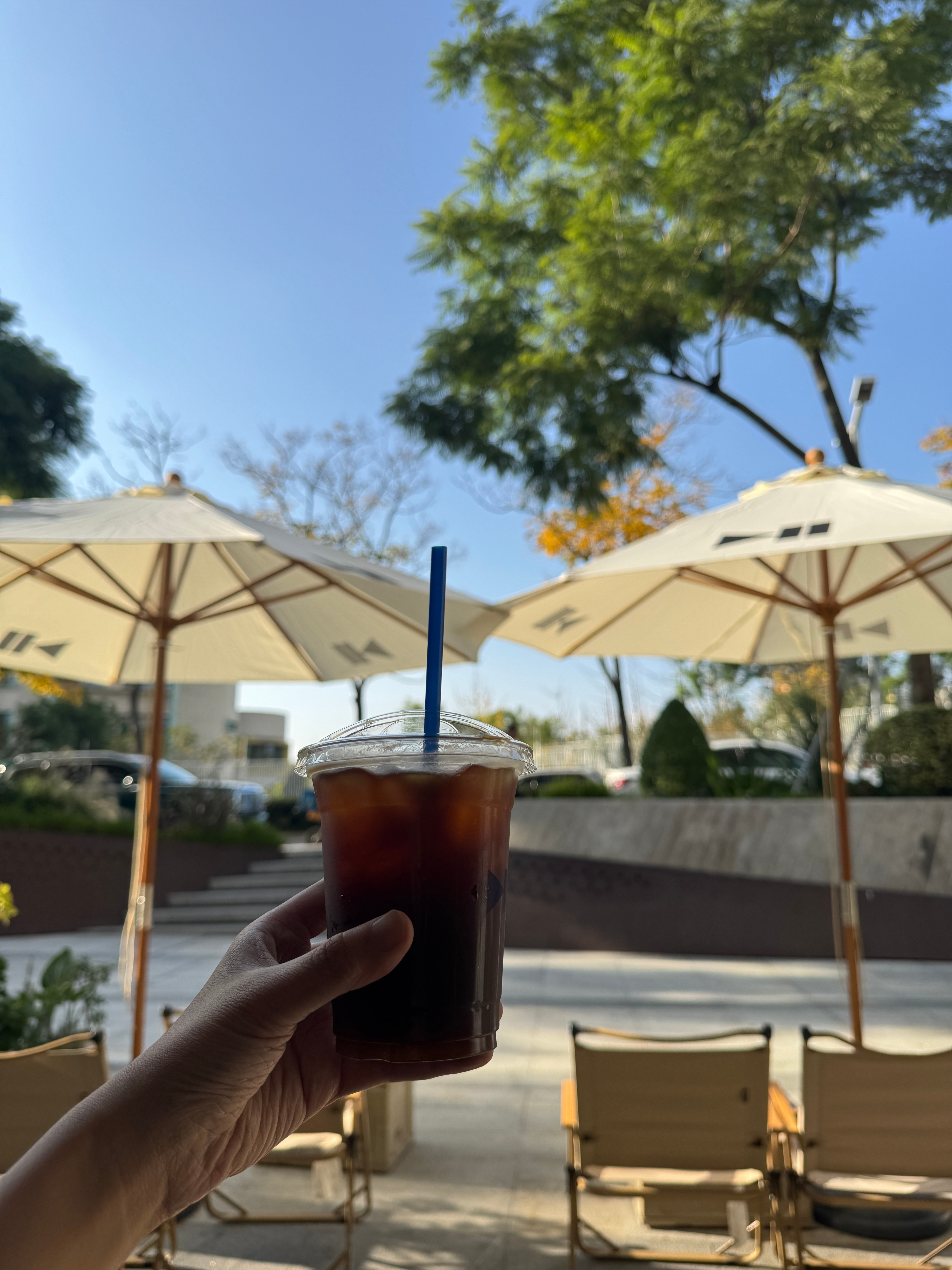 谁懂在周六太阳出来的含金量，今天全成都人民都出门晒太阳。 