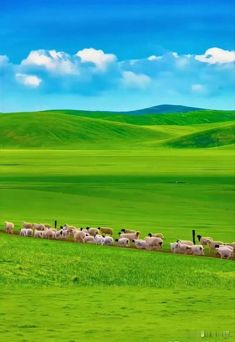 上联：冬雪催开梅蕊艳，诚邀下联
上联:冬雪催开梅蕊艳;
下联:春风吹绿草青鲜。