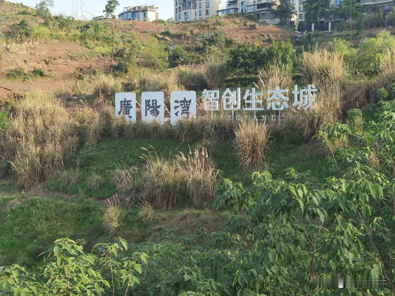 广阳岛，彻底熄火了？
五月中旬，南岸区正式对外公布了《南岸区十五五规划纲要》。整
