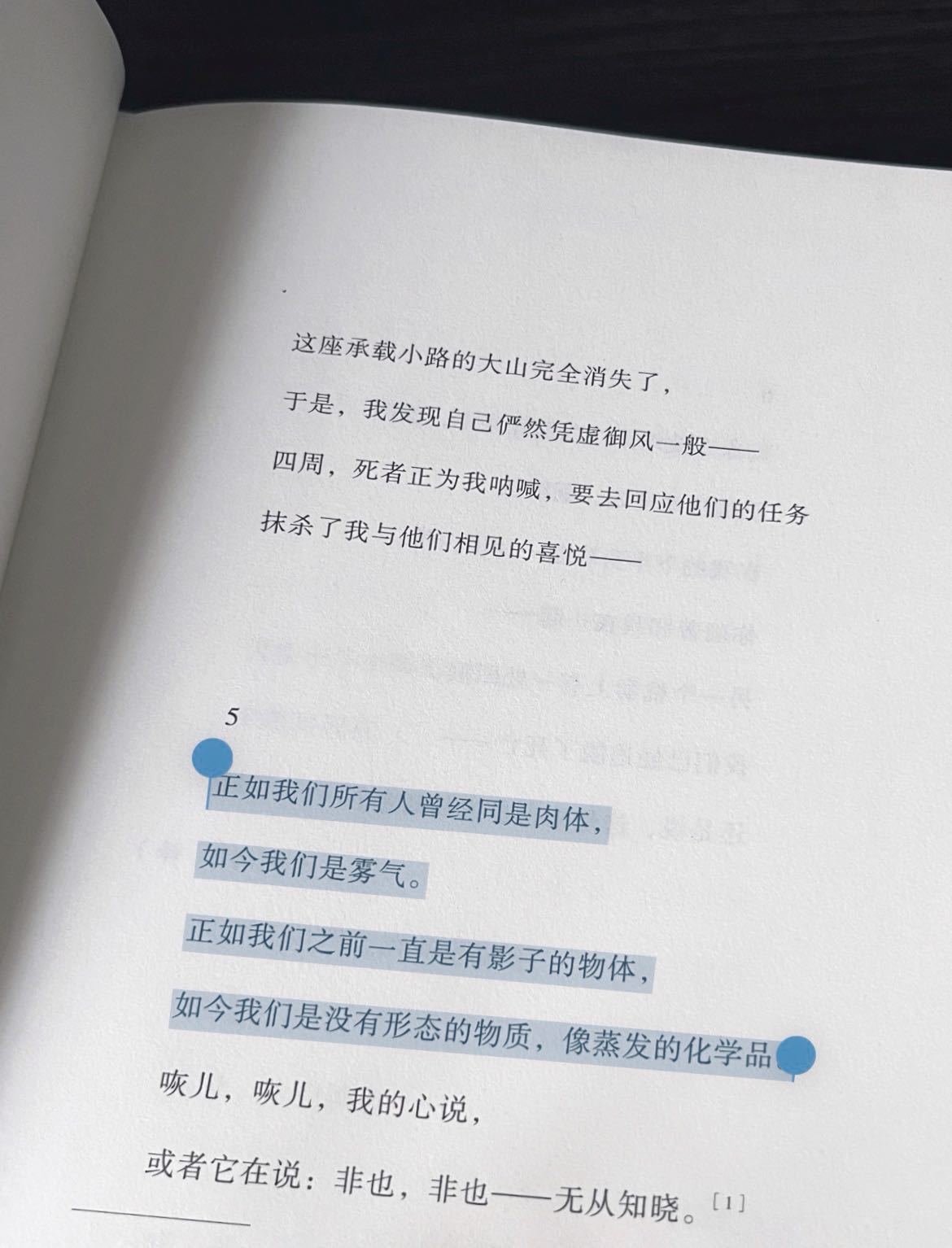 正如我们之前一直是有影子的物体，如今我们是没有形态的物质，像蒸发的化学品。露易丝