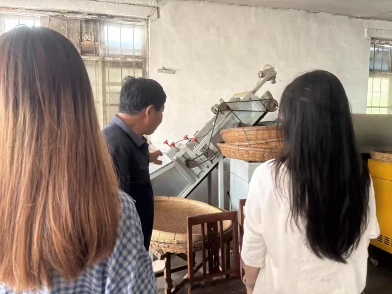 曲阜师范大学山东大学生暑假社会实践【管理学院暑假社会实践】赴山野寻好茶，以青年助