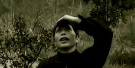 1982年11月，神农架附近村民张新泉在地里种土豆，忽然听到空中传来沉闷的哨声。