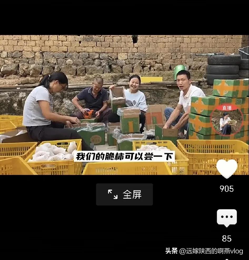 看小翠吃脆柿，咬一口听到脆脆的声音，好像是咬平果的声音，实际上是柿子水果中的一种