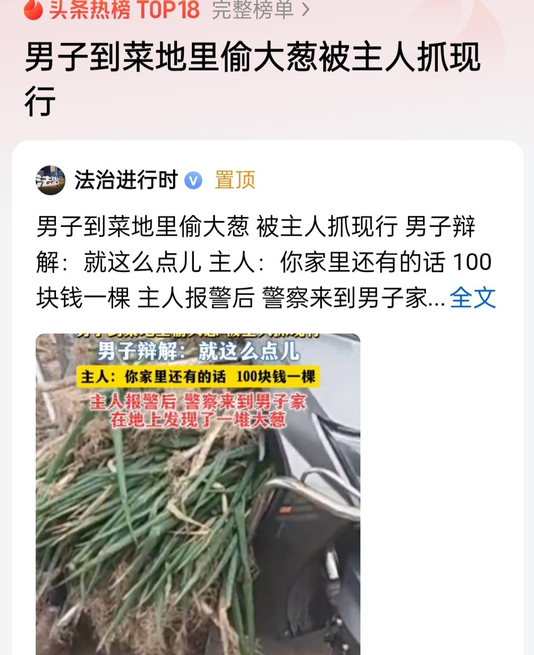 这年头还有偷大葱的，而且还不是偷一次，把人家种的大葱给偷光了，还好被当场抓了个正