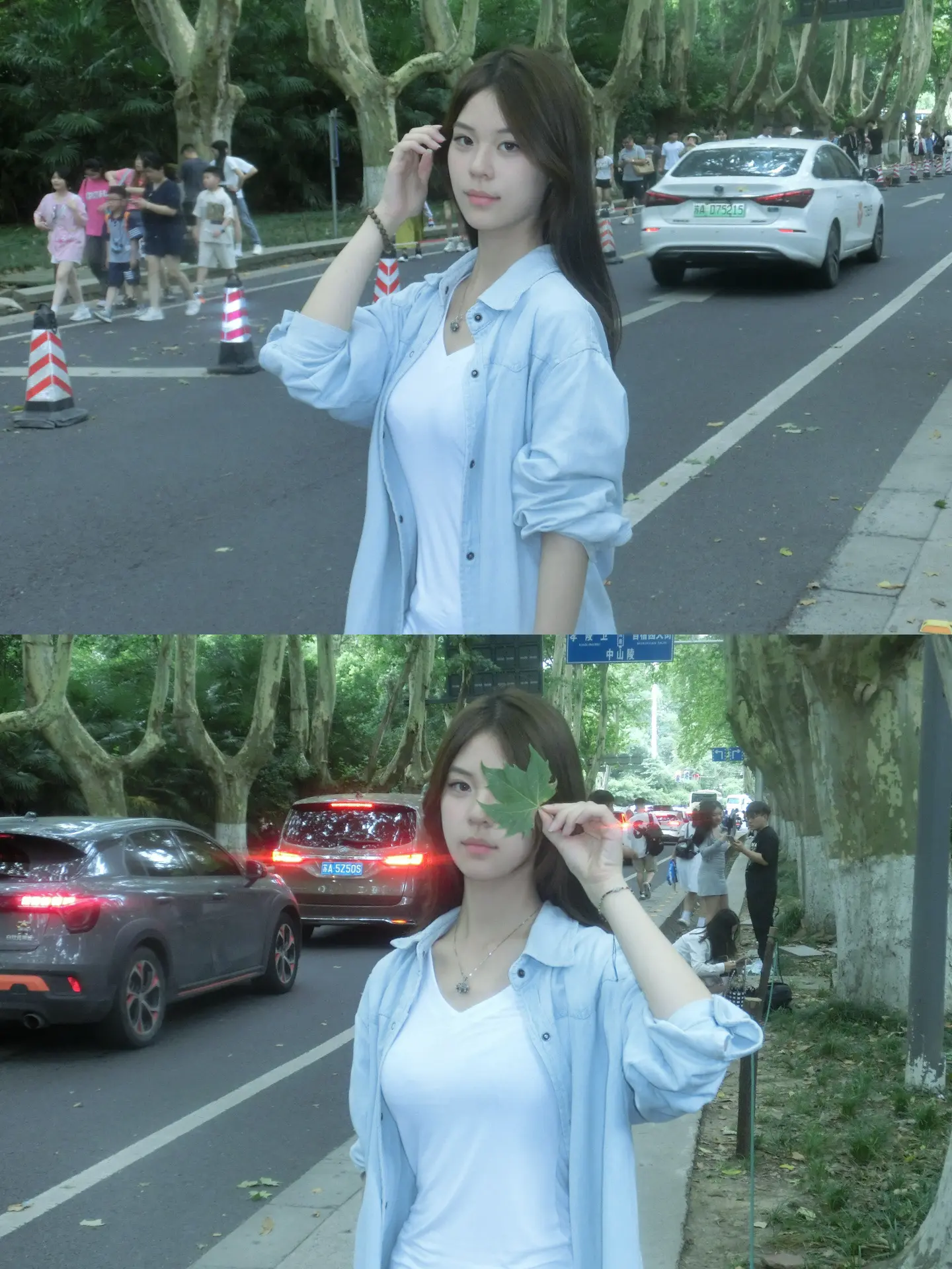 梧桐大道一直在 是你失约了