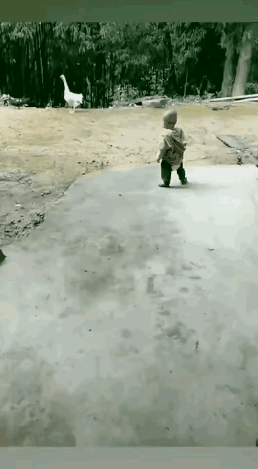 这个孩子，关键时刻还知道跑，这已经不简单了，从这个画面中，能够看出几个问题，第一