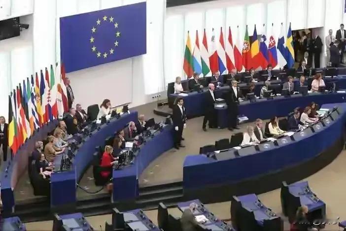 欧洲27国狠捅“马蜂窝”.中方最后通牒发往欧盟

近日，欧洲一些政治团体和机构的