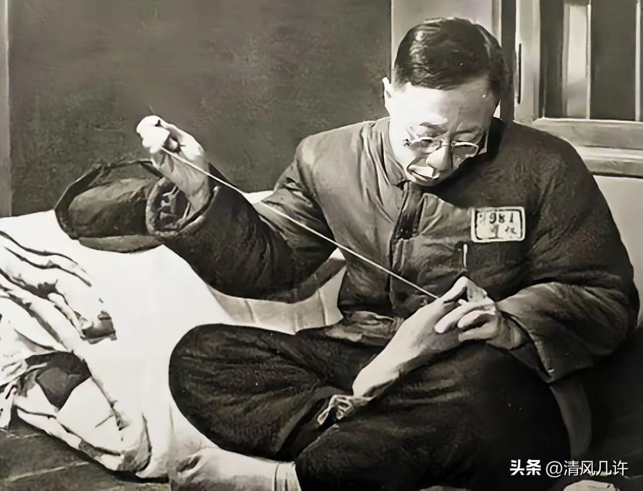 末代皇帝溥仪为什么没有生育能力？他十来岁刚发育那会儿，晚上睡觉不踏实，太监居然安