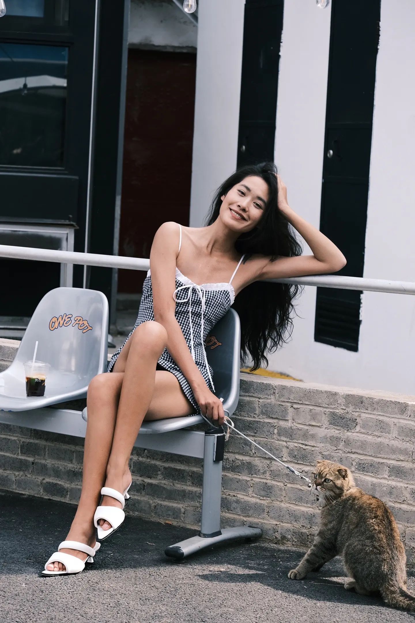 这个世界不能没有小猫。