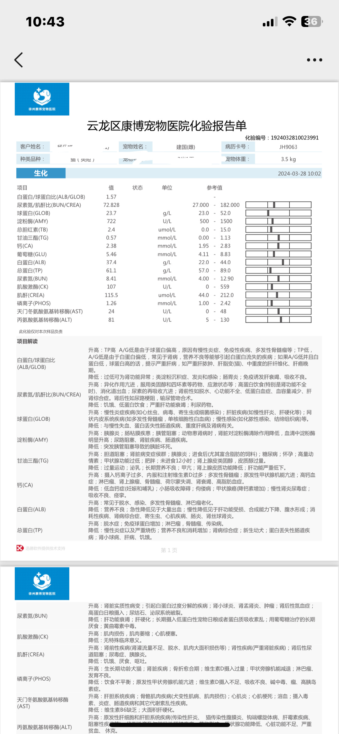 补一个昨天建国的体检报告视频忘了加进去恢复好就要去新家啦#金渐层##英国短毛猫#