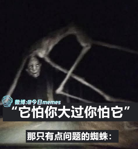 吓（9gag）今日meme今日memes