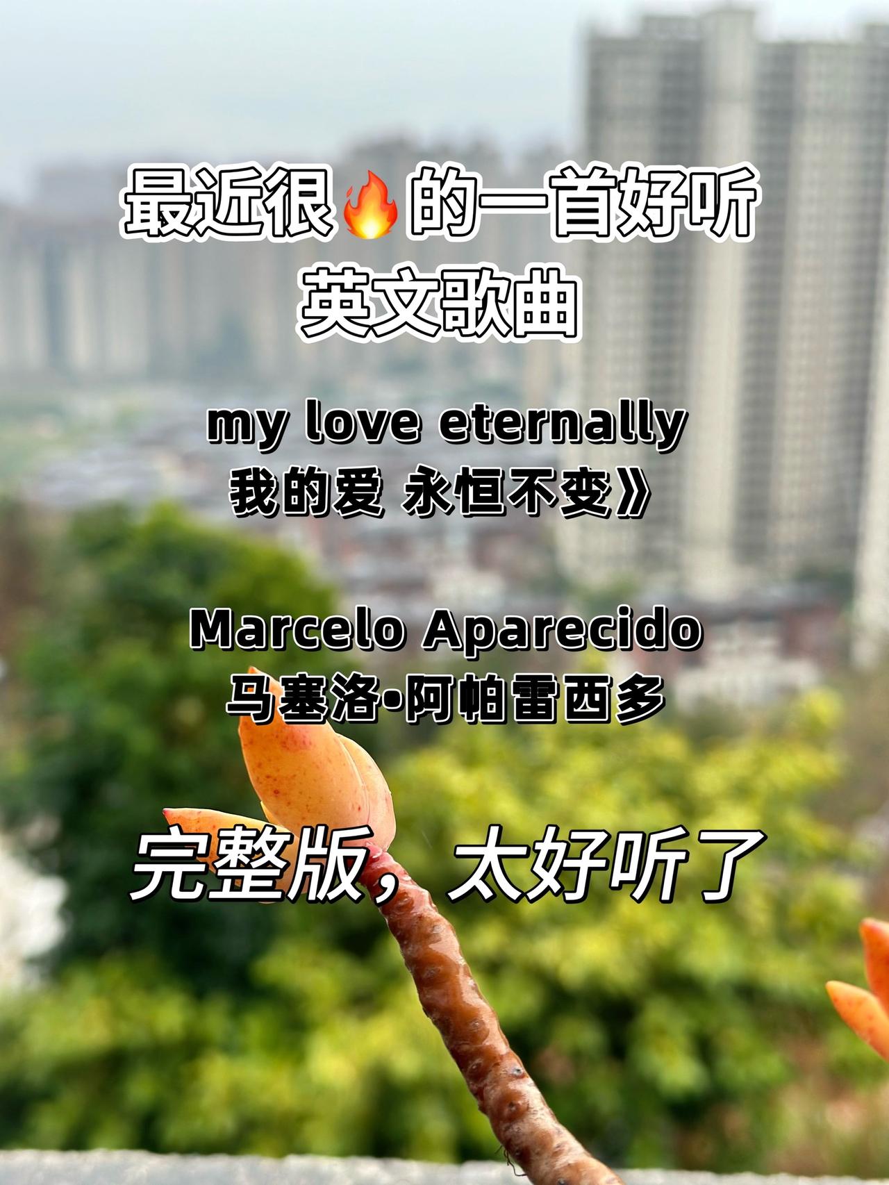 超治愈的一首英文歌曲