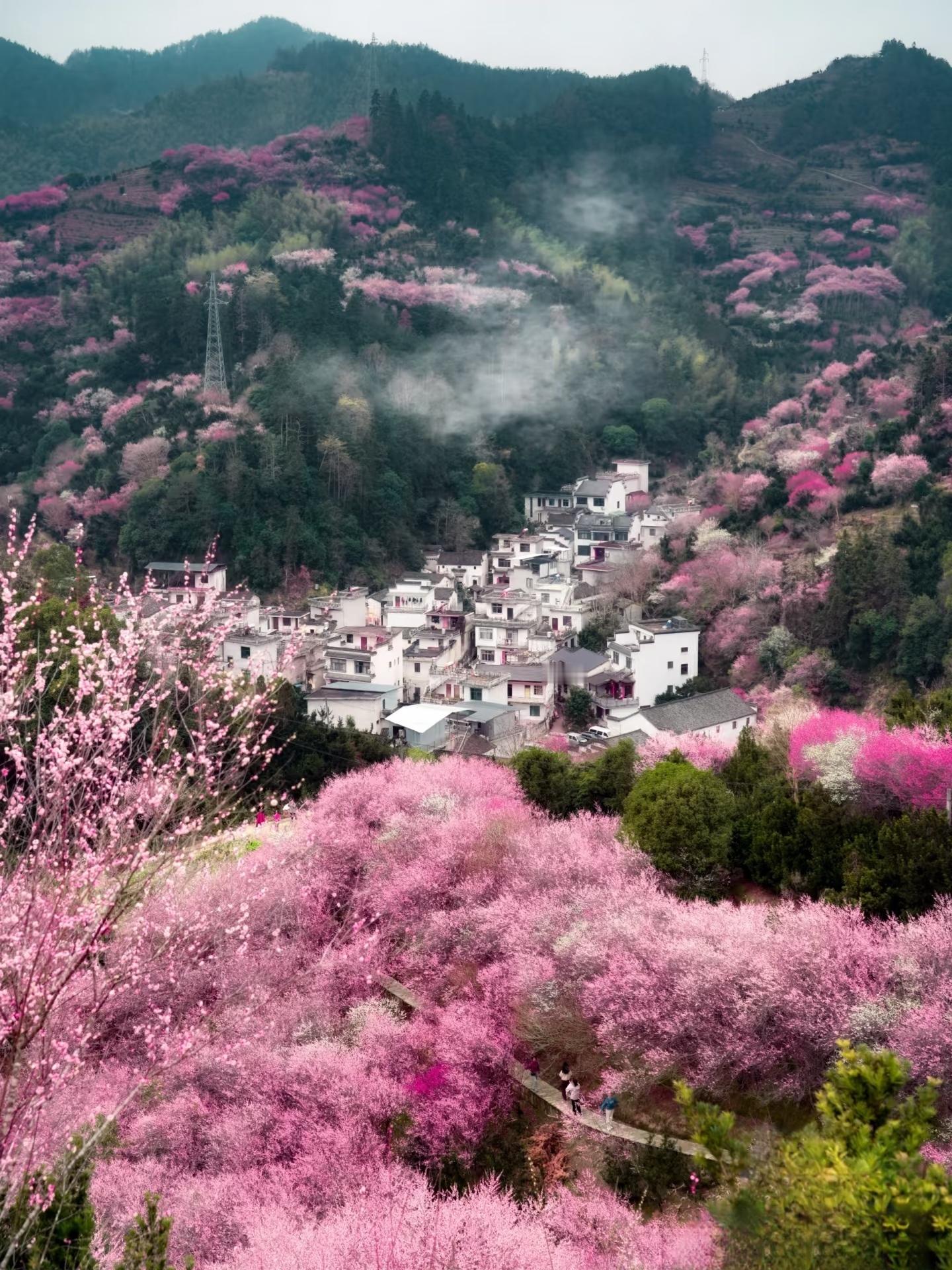 小夭梦里和父母亲一起相见的地方就是这里吧李祯替你去啦，小夭，我们不会有遗憾的阿珩