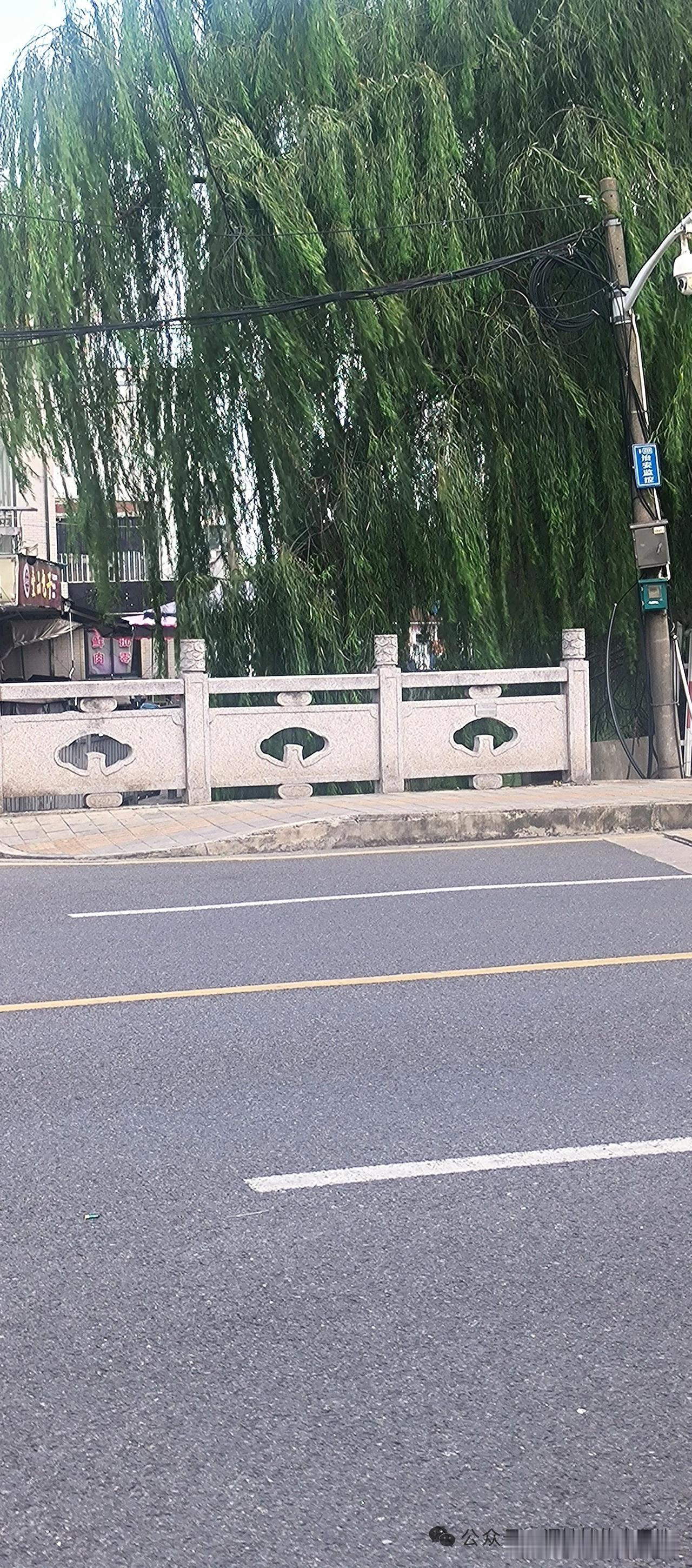 @豆包 帮我点评方言是文化历史，技术传承，非物质文化遗产。要传承多样性。