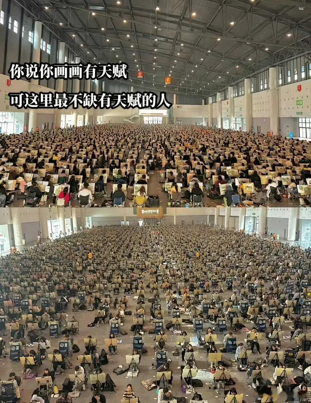 他们毕业后，就业方向是什么？ ​​​
