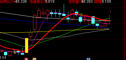 值得关注的股票池子，建议收藏起来创业板标的神农种业、同飞股份、赛微电子、科翔股份