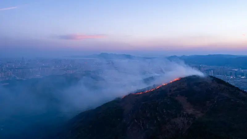 香港消防局回应突发百米山火这事儿挺值得说道。山火突然爆发，火势达百米，想想都挺吓