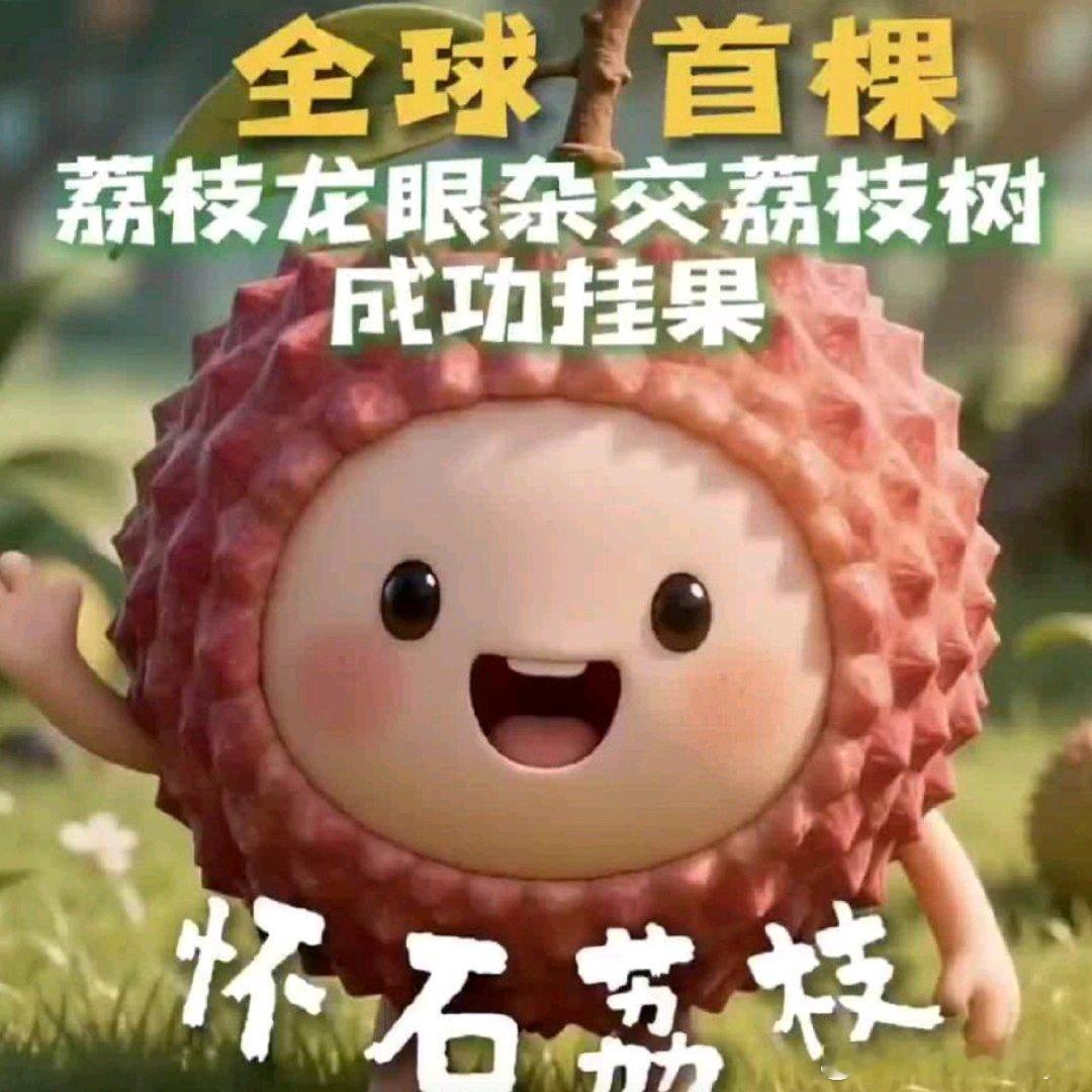 荔枝和龙眼有宝宝了 妈妈:荔枝怀枝爸爸:龙眼石硖宝宝:怀石随母姓