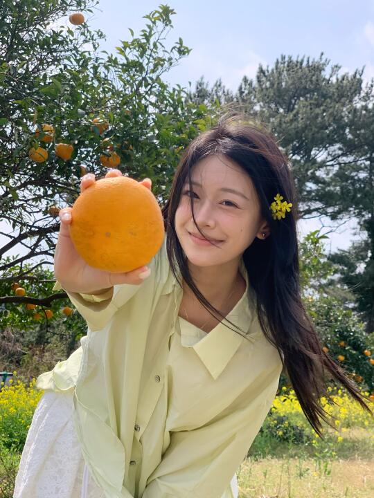 在绿色能量里🍊