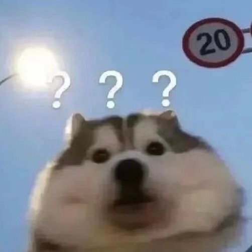 拼多多旗下Temu土耳其遭遇黎明突袭Temu土耳其办公室被抄家Temu土耳其办公