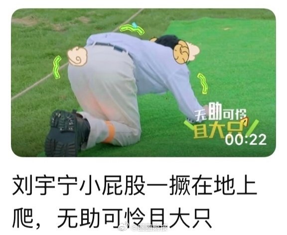 刘宇宁就这样全方位展示中 刘宇宁小屁股一撅在地上爬 我的天哪 