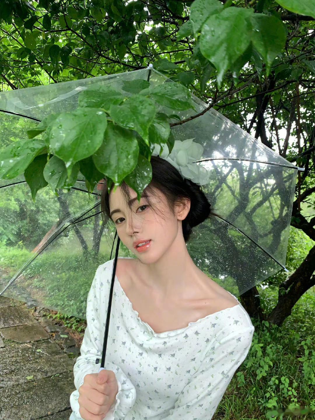 夏日雨中的美丽小鞠 ​​​