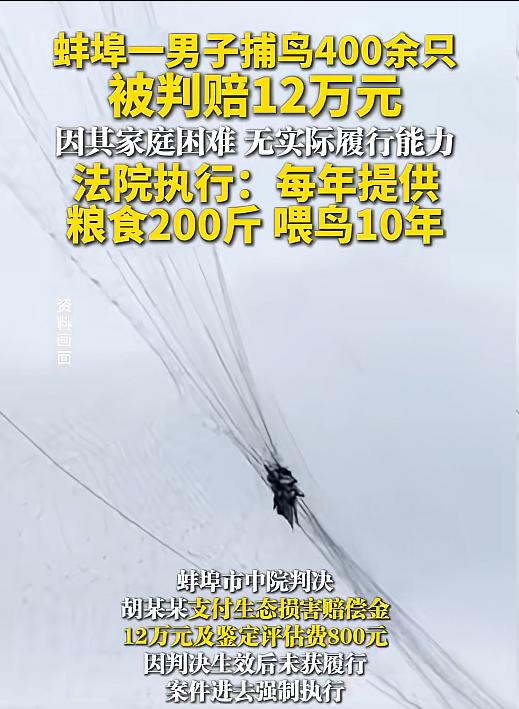 “这才是温情执法！”安徽一男子捕鸟400只，被法院起诉，让他赔偿12万，但是判决