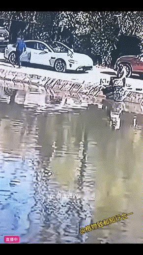 真的要被这车主操作笑晕了！水边停车居然敢全权交给自动泊车，结果车子直接一头扎进水