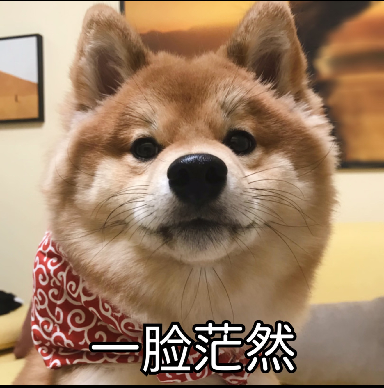 什么？煤网已经开始了？ ​​​