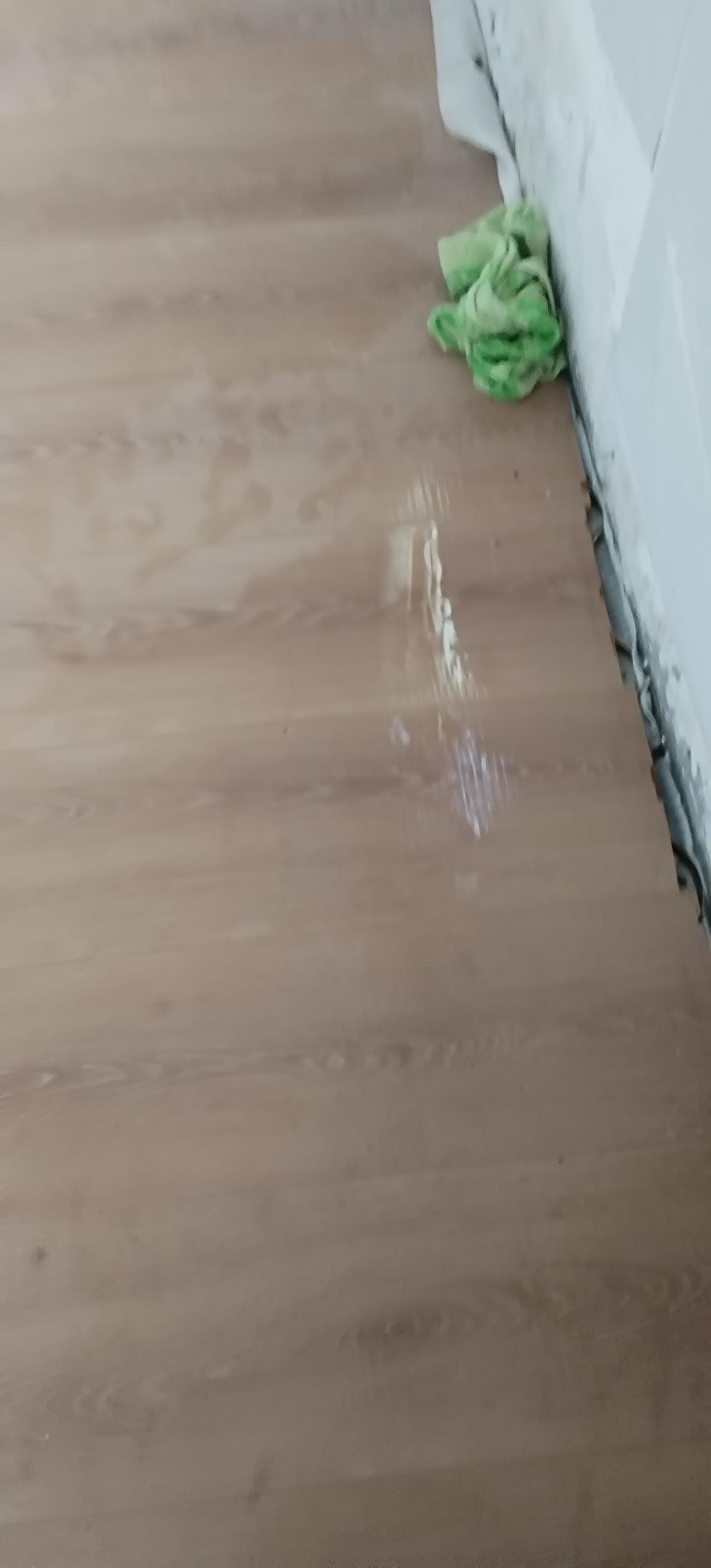 忘记关水缸的水龙头，屋里泡了半屋的水，这木地板怎么处理不会变形发霉，开除湿要开几