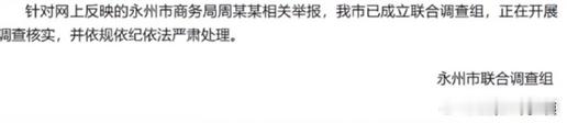 湖南永州通报周某某相关举报网传实名举报引发广泛关注，永州迅速成立联合调查组介入核