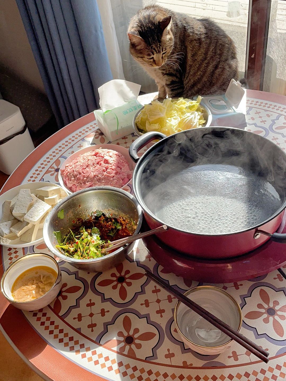 猫口夺食
