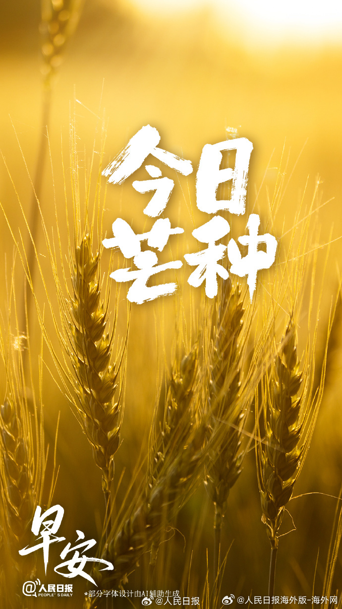 #向海外朋友问好# 【今日，#芒种#】6月5日23时48分，将迎来芒种节气。收获
