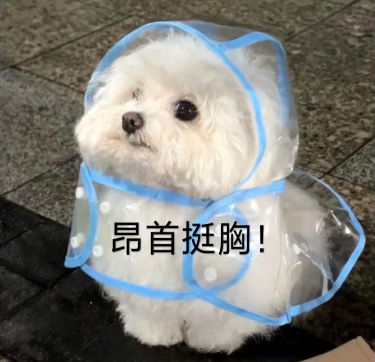 2025最后20天年底啦，做好准备和2025挥手告别了吗～这一年无论大家有没有在