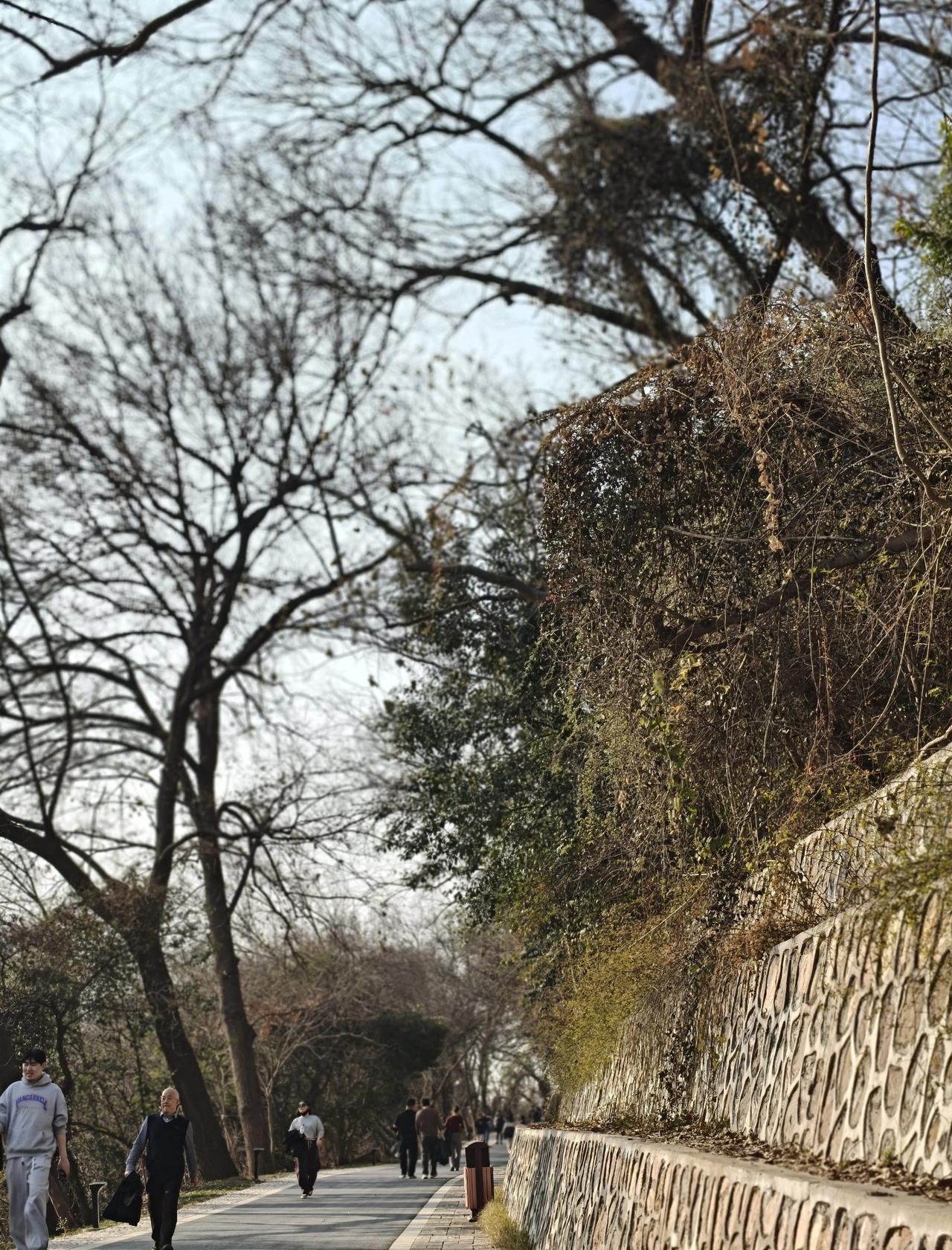 带上装备我们“反穿”大蜀山
📍合肥 大蜀山国家森林公园
0元玩转这座城公园爬山