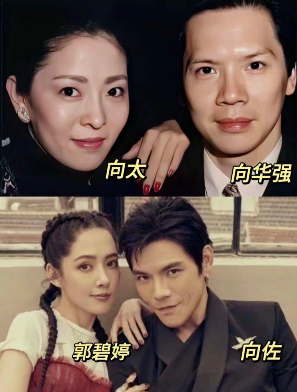 这一家子的长相，也太直观了吧！向佐和向华强像也就算了，向太年轻时跟郭碧婷也真的很