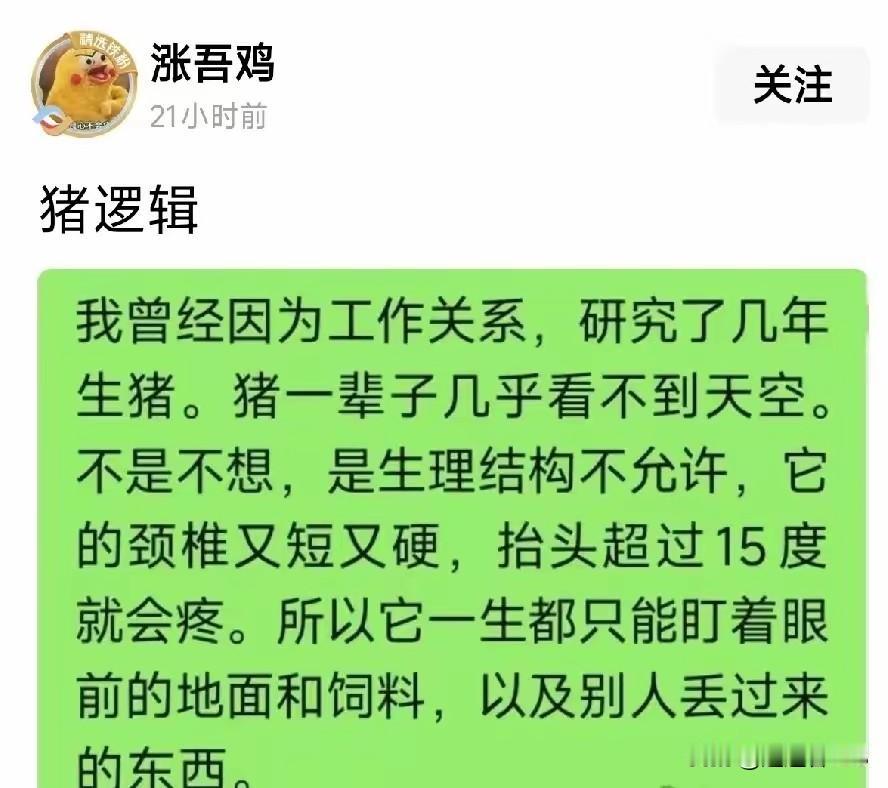 什么人会看别人像猪？心实则如同一面镜子，心里觉得别人是什么样，自己实际上就是什么