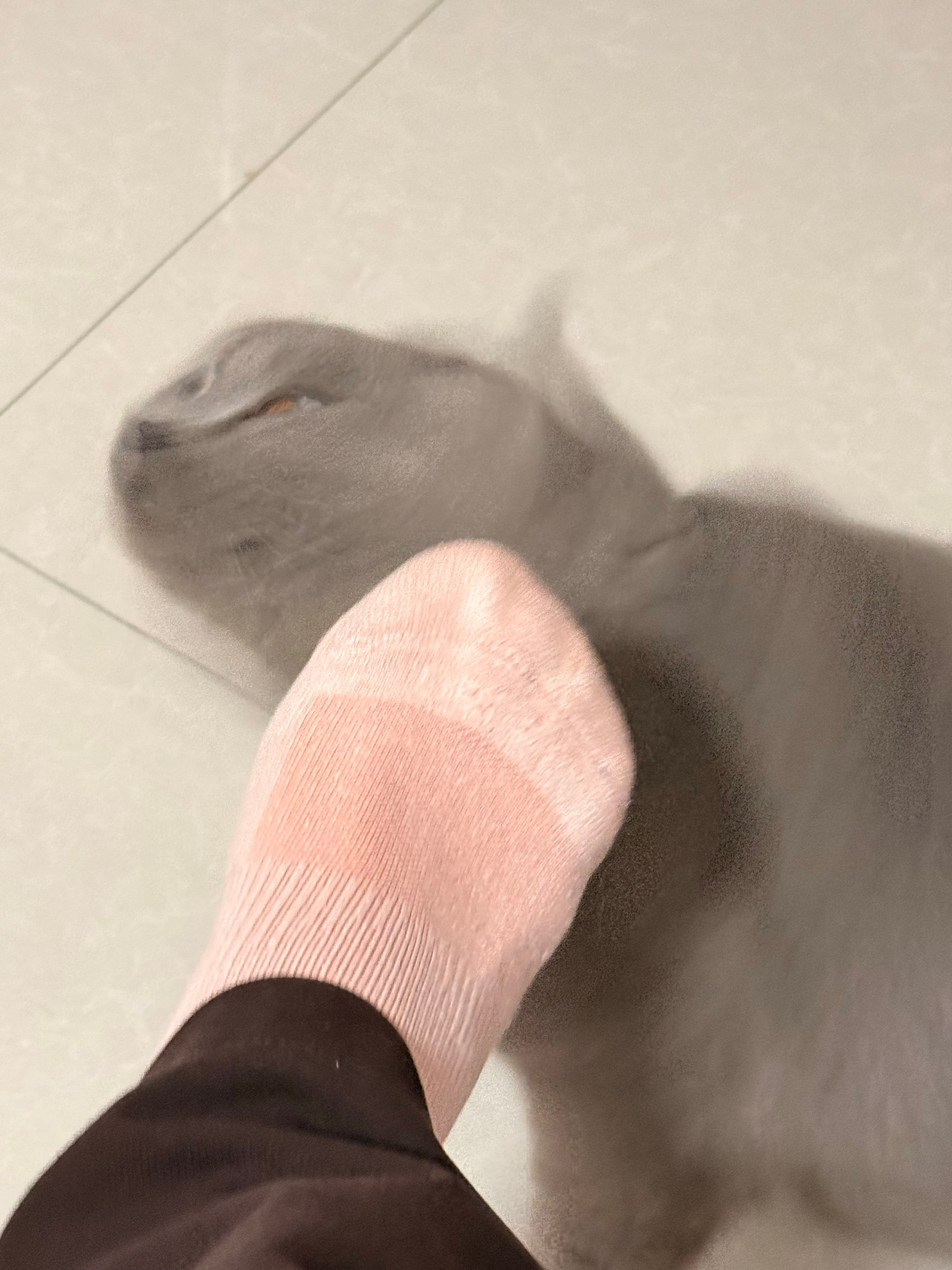 哈哈哈哈 ​​​