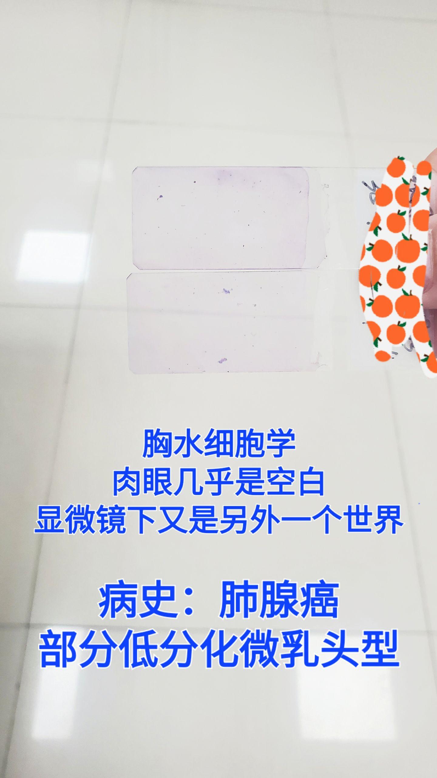 经典好片，涂片很成功