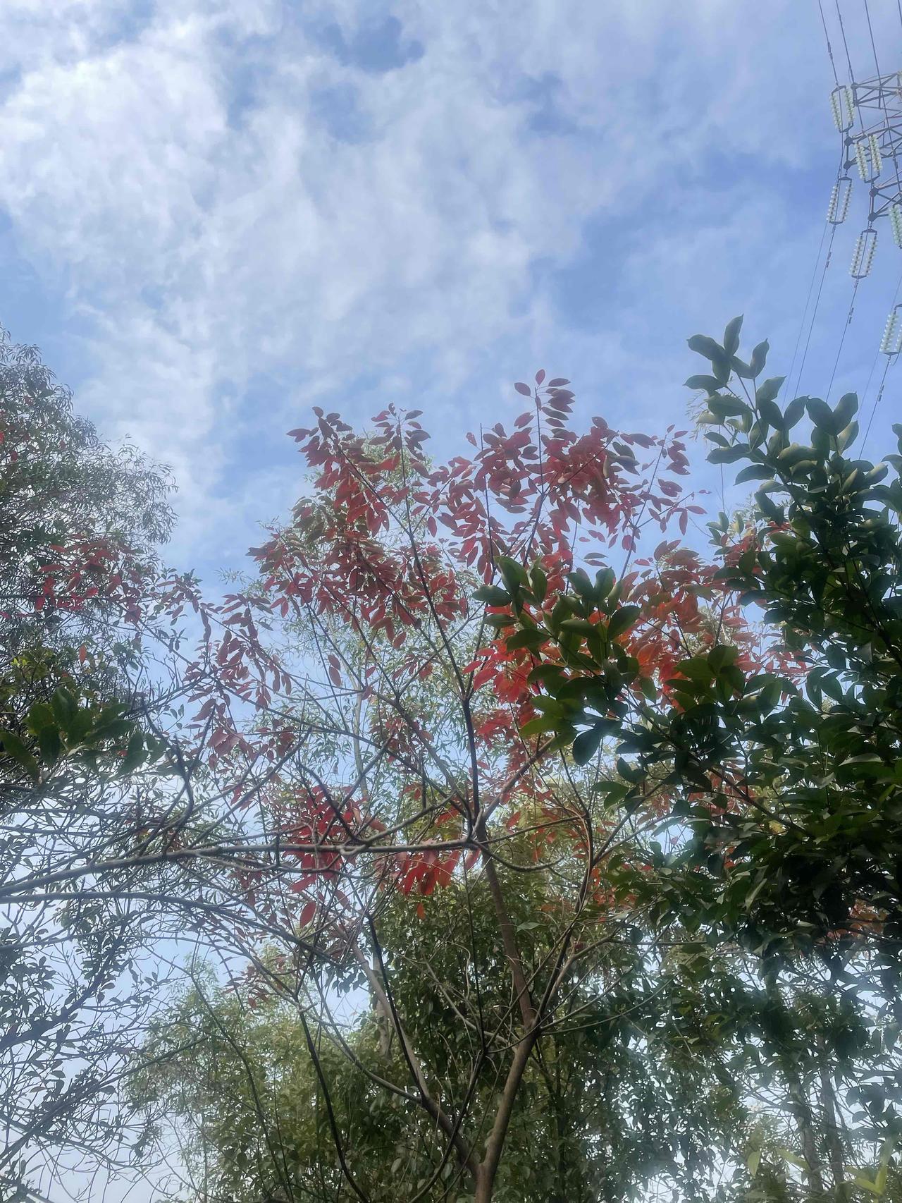 国庆在老家呆几天，
让我做了坚定的决定，
老了一定不回老家生活，
因为活不起，物