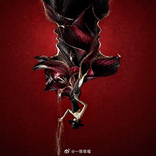 田曦薇魏大勋《赢家》开通官博 