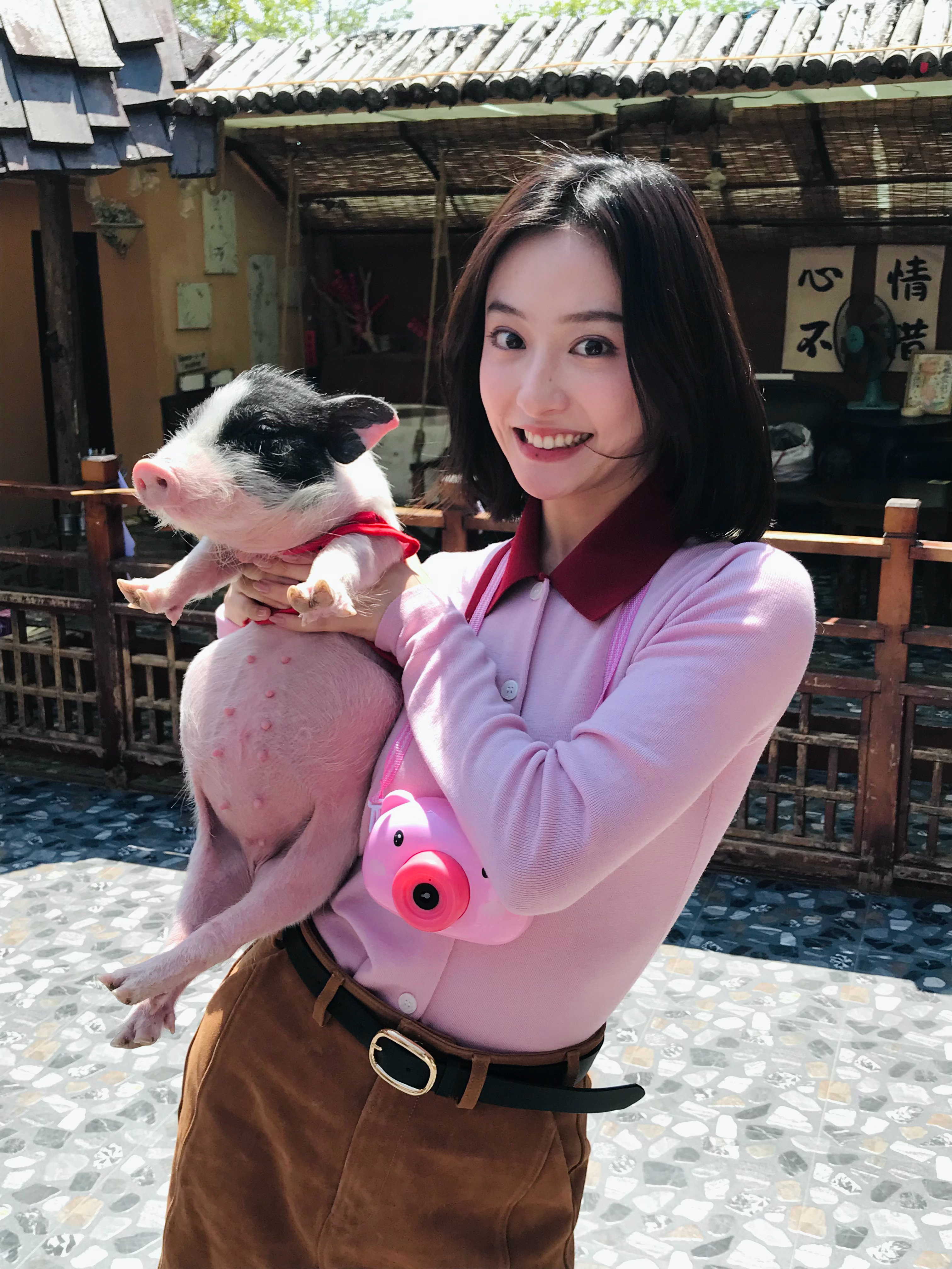 被小猪萌成小夹子了🐷馨动一下 ​​​