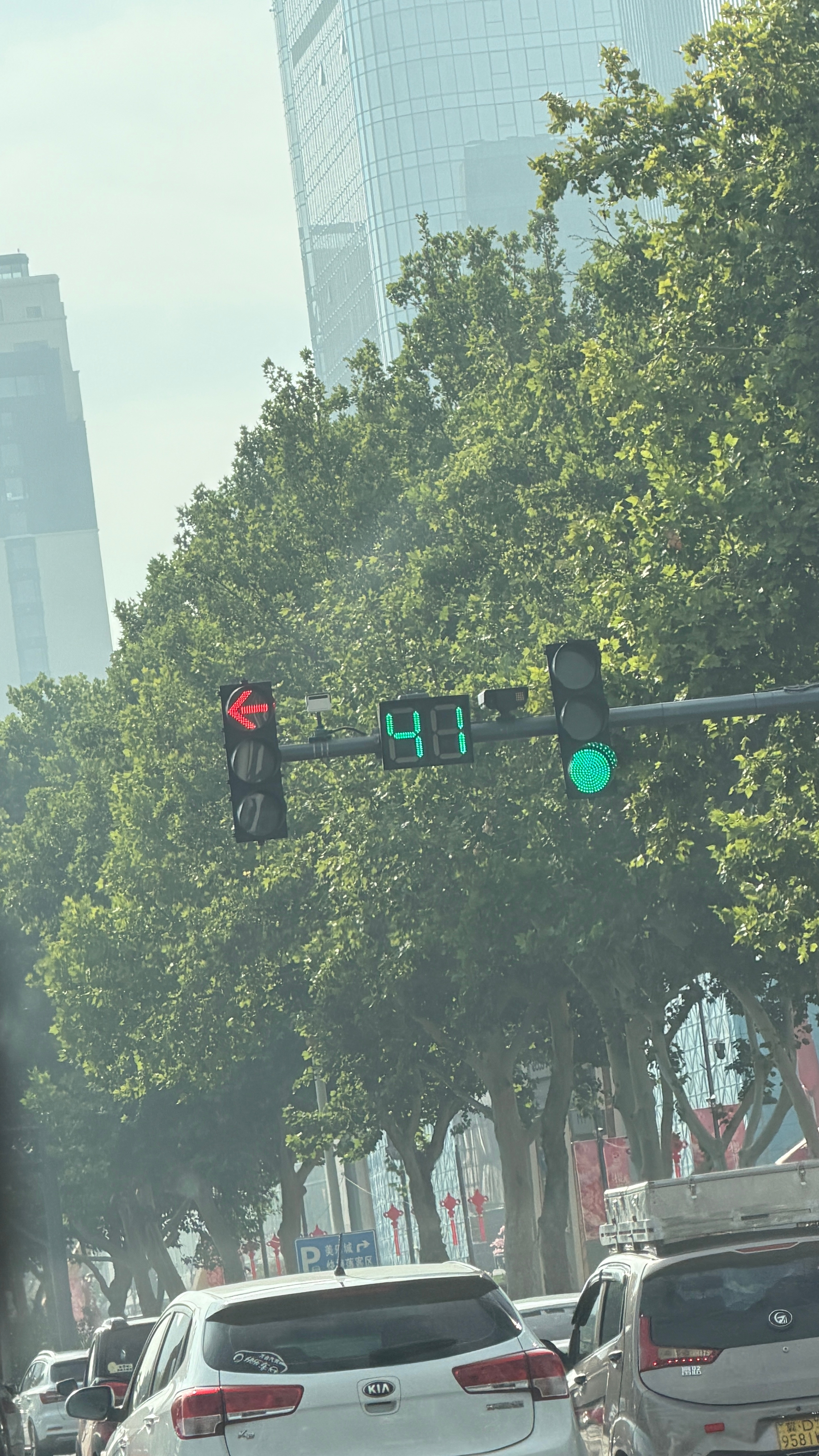 今天体验的人生副本是：司机师傅带我闯左转红灯后又倒车回来