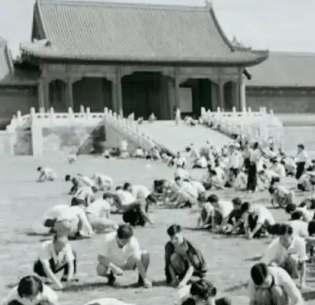 1949年，国家组织了7万人在北京故宫里清理垃圾，历时9个月清理出清末以来近40