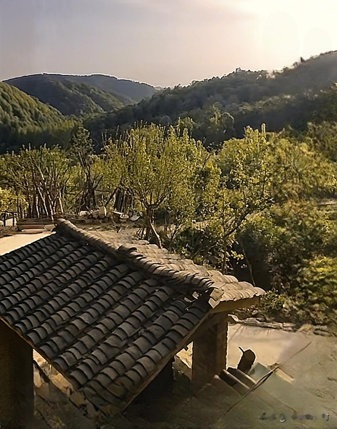 武汉市退休教师邓先生，隐居鄂西北大薤山养蜂，2025年的“成绩单”出来了。邓先生